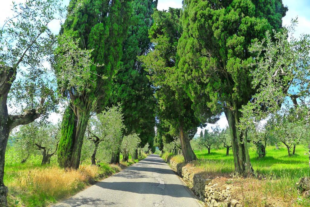 La Sassaia Βίλα Καρμινιάνο Εξωτερικό φωτογραφία
